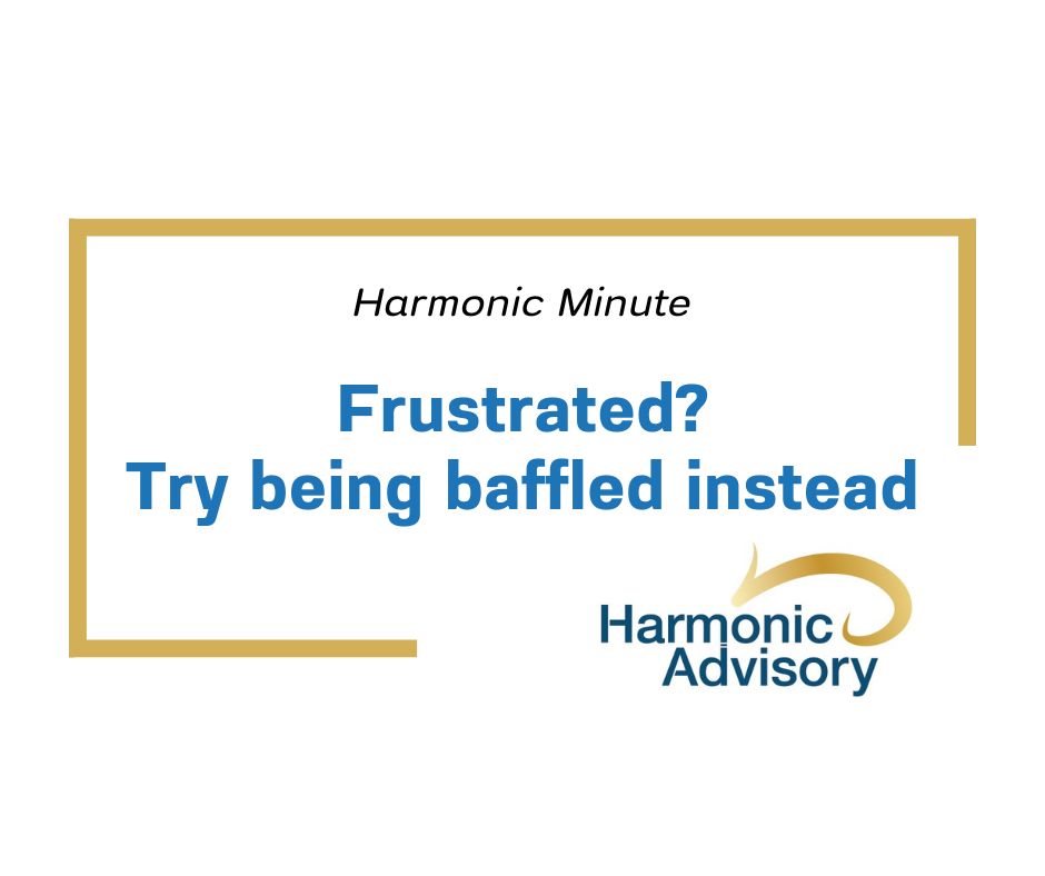 Frustrated in Business - Try being baffled instead - Harmonic Minute